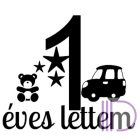 Kontúr vágott matrica, egyedi feliratok 25x55