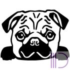 Kontúr vágott matrica, egyedi feliratok 25x55